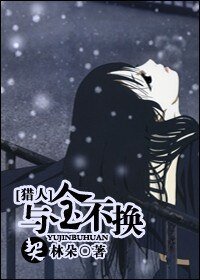 （猎人同人）与金不换