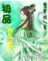 极品皇夫