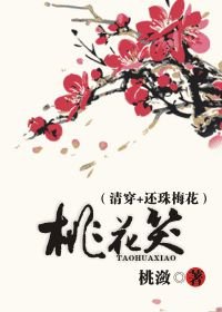 桃花笑（清穿+还珠梅花）