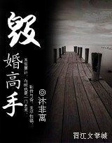 毁婚高手（高干/军婚）