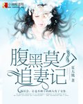 腹黑莫少追妻记