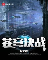 《苍穹决战》