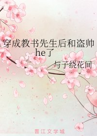 《(综武侠同人)穿成教书先生后和盗帅he了》
