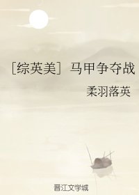 （BG/综英美同人）马甲争夺战