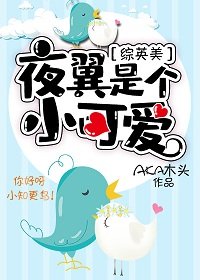 （BG/综英美同人）夜翼是个小可爱