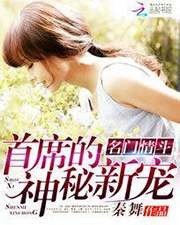 名门情斗:首席的神秘新宠