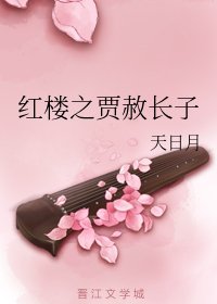 （BG/红楼同人）红楼之贾赦长子
