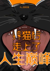养猫后走上了人生巅峰