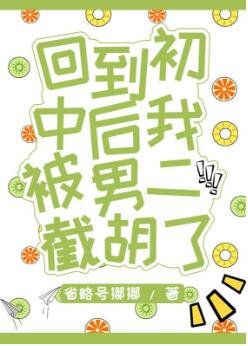 胖妞不敢高声语/回到初中的我被男二截胡了