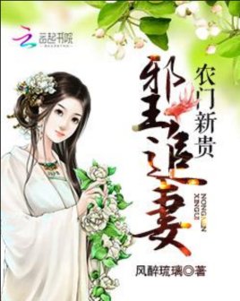 农门新贵：邪王追妻风
