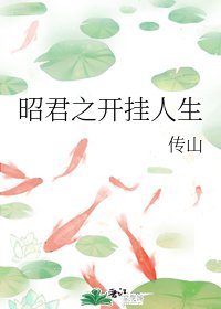 （综同人）昭君之开挂人生
