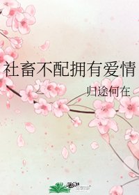 （综漫同人）社畜不配拥有爱情