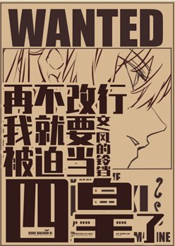 （综漫同人）再不改行我就要被迫当四皇了
