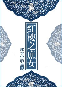 （红楼同人）红楼之庶女