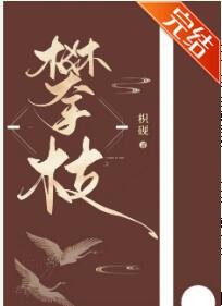 我攀上了失忆世子的高枝