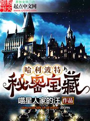 ((HP同人)哈利波特与秘密纽藏