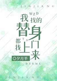 我找的替身都找上门来