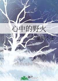 心中的野火