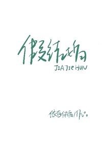 《假结婚》
