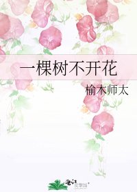 一棵树不开花