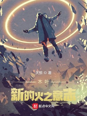 《木叶:新的火之意志》