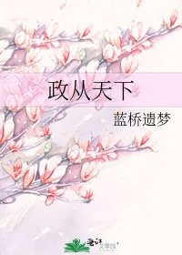 政从天下