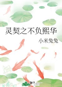 灵契之不负熙华