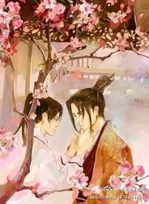 锦囊艳骨
