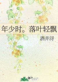 年少时。落叶轻飘