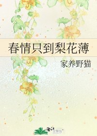 春情只到梨花薄