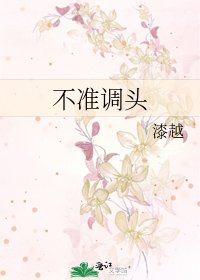 不准调头