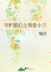 守护甜心之我是小兰