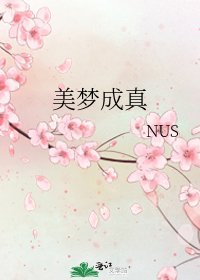 美梦成真