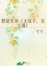 惹是生非（主双子，全王道）