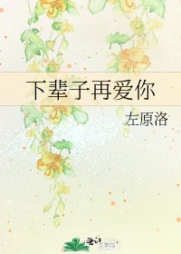 下辈子再爱你