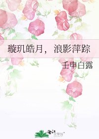 璇玑皓月，浪影萍踪