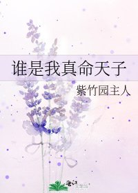 《谁是我真命天子》
