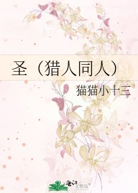 圣（猎人同人）