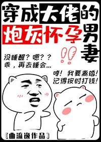 首富的炮灰怀孕男妻[娱乐圈]