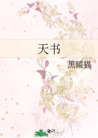 《天书》