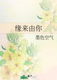 缘来由你