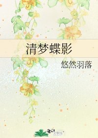 清梦蝶影
