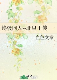 终极同人--北皇正传