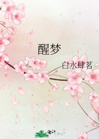 醒梦