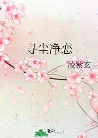 《寻尘净恋》