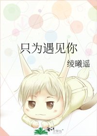 只为遇见你