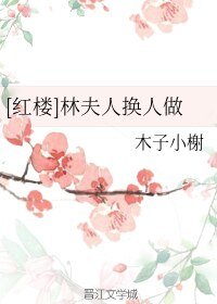 （BG/红楼同人）[红楼]林夫人换人做