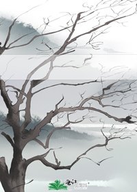 《一方清梦了无痕》