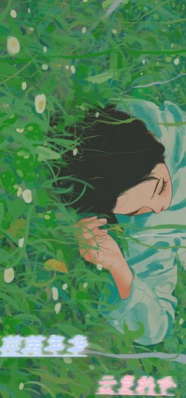 荏苒年华