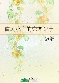 南风小白的恋恋记事